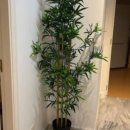 Donde El Sol Y La Calma Se Encuentran - Atico *